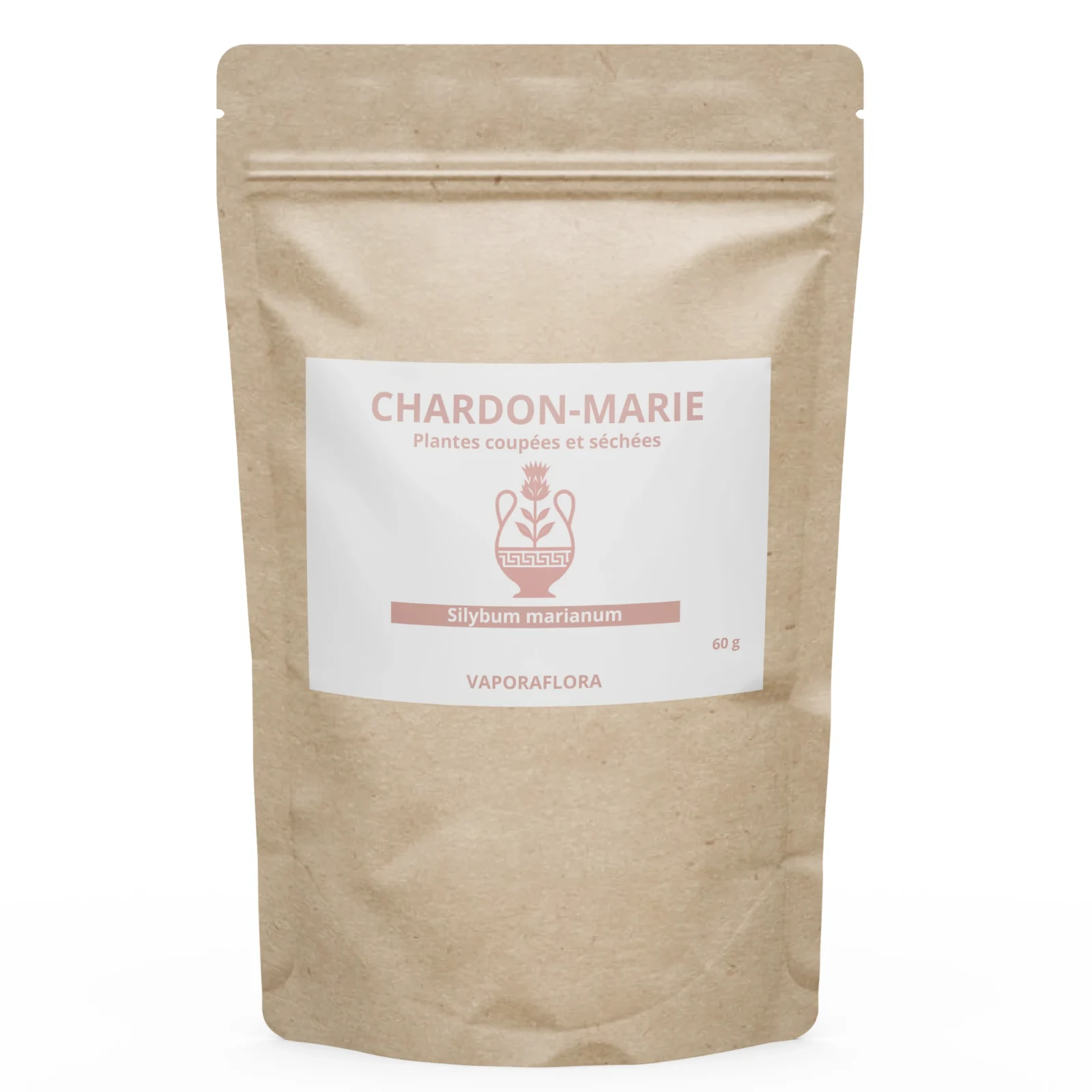 Plante de Chardon-Marie (Silybum marianum) séchée en vrac