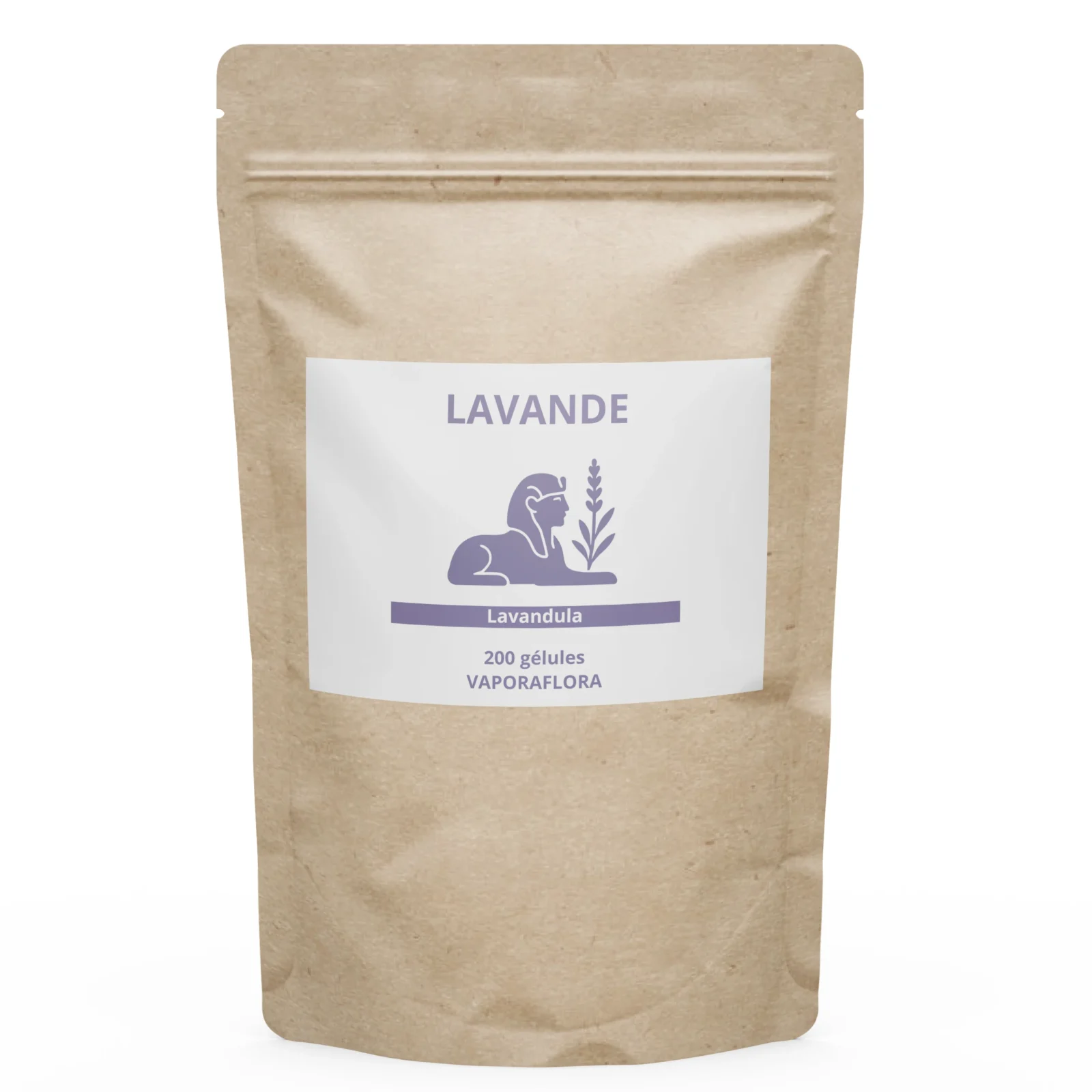 Lavande (Lavandula) – disponible sous forme de fleurs séchées et de gélules – Image 3